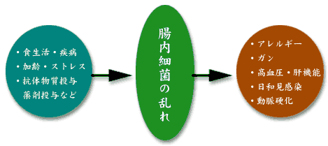 �`���[�g�P
