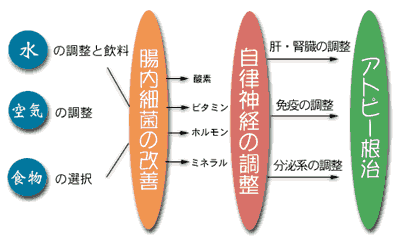 chart-kan