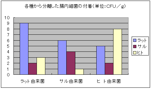 アトピー性皮膚炎の原因