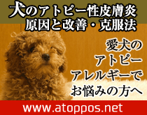 犬のアトピー